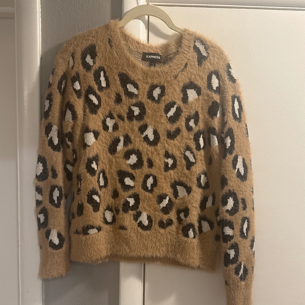 Express Leopard Print Sweater